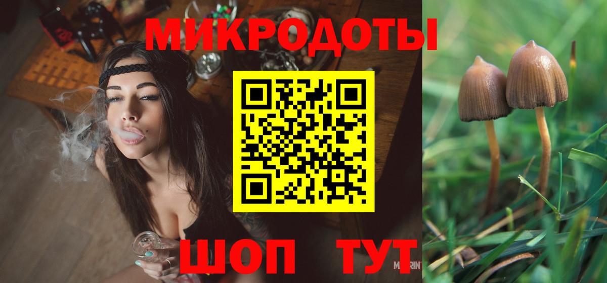 Галлюциногенные грибы Psilocybe Новый Уренгой
